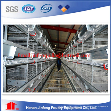 Cage de type poulet type H